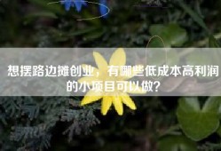 想摆路边摊创业，有哪些低成本高利润的小项目可以做？