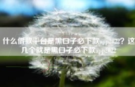 什么借款平台是黑口子必下款app2022？这几个就是黑口子必下款app2022
