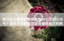 有什么小额贷款是微信借500七天的公众号？这几个就是征信花负债高必过的网贷