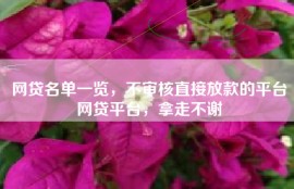 网贷名单一览，不审核直接放款的平台网贷平台，拿走不谢