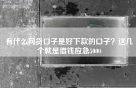 有什么网贷口子是好下款的口子？这几个就是借钱应急5000