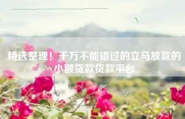 精选整理！千万不能错过的立马放款的小额贷款贷款平台