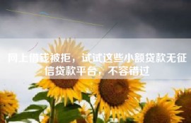 网上借钱被拒，试试这些小额贷款无征信贷款平台，不容错过