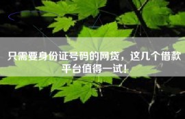 只需要身份证号码的网贷，这几个借款平台值得一试！