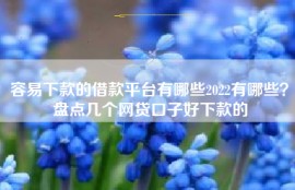 容易下款的借款平台有哪些2022有哪些？盘点几个网贷口子好下款的