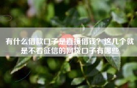 有什么借款口子是直接借钱？这几个就是不看征信的网贷口子有哪些