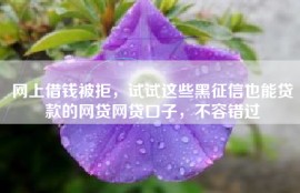 网上借钱被拒，试试这些黑征信也能贷款的网贷网贷口子，不容错过