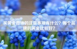 买黄金首饰的注意事项有什么？哪个品牌的黄金比较好？