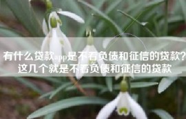 有什么贷款app是不看负债和征信的贷款？这几个就是不看负债和征信的贷款