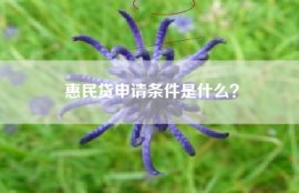 惠民贷申请条件是什么？