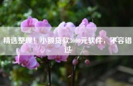 精选整理！小额贷款3000元软件，不容错过