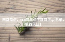 网贷盘点，2020网黑必下款网贷app名单，值得关注！