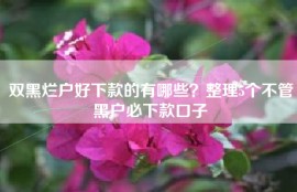 双黑烂户好下款的有哪些？整理5个不管黑户必下款口子