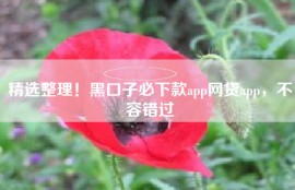 精选整理！黑口子必下款app网贷app，不容错过