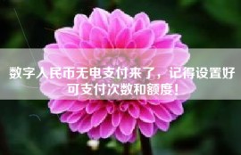 数字人民币无电支付来了，记得设置好可支付次数和额度！