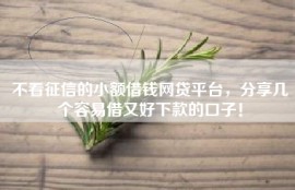 不看征信的小额借钱网贷平台，分享几个容易借又好下款的口子！