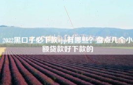 2022黑口子必下款app有哪些？盘点几个小额贷款好下款的