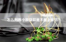 怎么判断小额贷款是不是上征信？