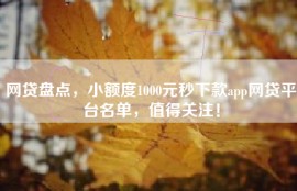 网贷盘点，小额度1000元秒下款app网贷平台名单，值得关注！