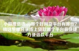 小额度借钱app哪个好网贷平台有哪些？精选整理分享线上贷款哪个平台最快捷方便借款平台