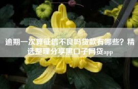 逾期一次算征信不良吗贷款有哪些？精选整理分享黑口子网贷app