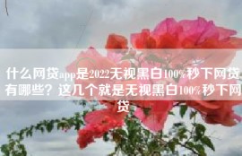 什么网贷app是2022无视黑白100%秒下网贷有哪些？这几个就是无视黑白100%秒下网贷