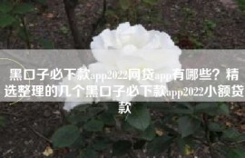黑口子必下款app2022网贷app有哪些？精选整理的几个黑口子必下款app2022小额贷款
