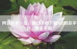 网贷名单一览，新口子必下款2022借款平台，拿走不谢
