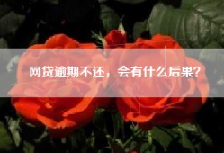 网贷逾期不还，会有什么后果？
