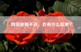 网贷逾期不还，会有什么后果？