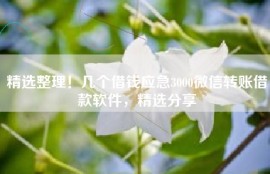 精选整理！几个借钱应急3000微信转账借款软件，精选分享