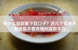 有什么贷款是下款口子？这几个就是不看征信不看负债的贷款平台