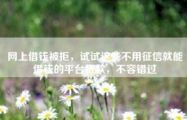 网上借钱被拒，试试这些不用征信就能借钱的平台贷款，不容错过