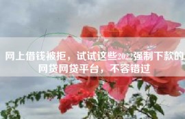 网上借钱被拒，试试这些2022强制下款的网贷网贷平台，不容错过