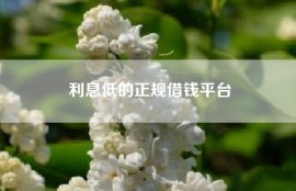 利息低的正规借钱平台