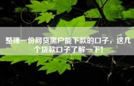 整理一份网贷黑户能下款的口子，这几个贷款口子了解一下！