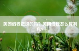 美团借钱正规的吗？美团借钱怎么算利息？