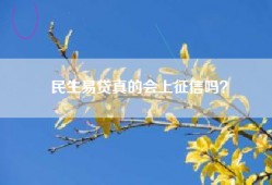 民生易贷真的会上征信吗？