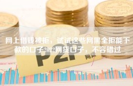 网上借钱被拒，试试这些网黑全拒能下款的口子2022网贷口子，不容错过