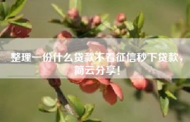 整理一份什么贷款不看征信秒下贷款，简云分享！