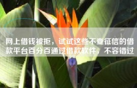 网上借钱被拒，试试这些不查征信的借款平台百分百通过借款软件，不容错过