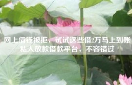 网上借钱被拒，试试这些借2万马上到账私人放款借款平台，不容错过