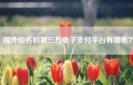 国外知名的第三方电子支付平台有哪些？