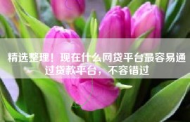 精选整理！现在什么网贷平台最容易通过贷款平台，不容错过