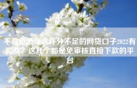 不看负债综合评分不足的网贷口子2022有哪些？这几个都是免审核直接下款的平台