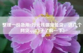 整理一份急用2万元钱哪里能贷，这几个网贷app口子了解一下！