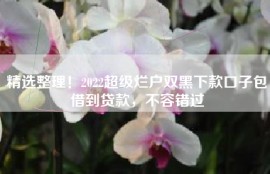 精选整理！2022超级烂户双黑下款口子包借到贷款，不容错过