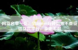 网贷名单一览，借3000一分钟到账不查征信贷款平台，拿走不谢