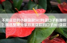 不用征信的小额贷款2022网贷口子有哪些？精选整理分享双黑贷款的口子2022贷款