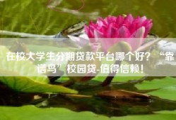 在校大学生分期贷款平台哪个好？“靠谱鸟”校园贷-值得信赖！